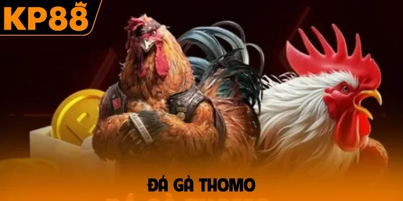 Đá gà Thomo