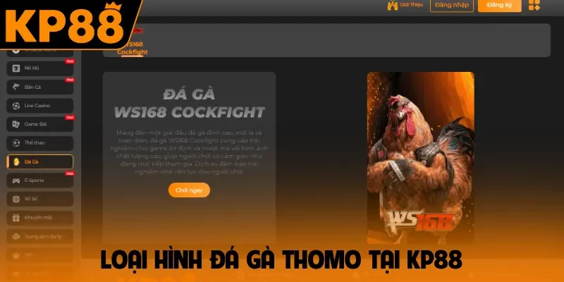 Loại hình đá gà Thomo tại KP88