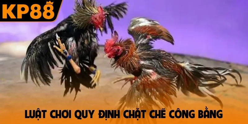 Luật chơi quy định chặt chẽ công bằng