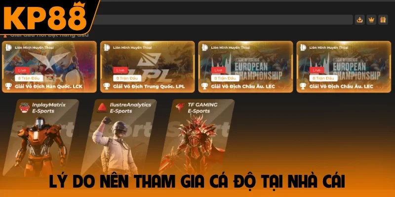 Lý do nên tham gia cá độ tại nhà cái